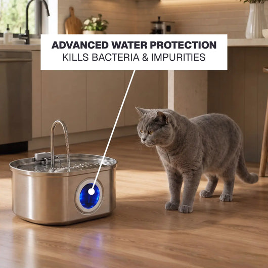 Petivano Cat Water Fountain