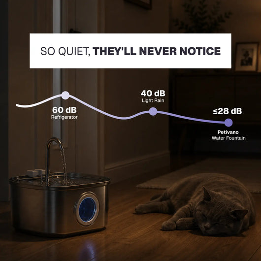 Petivano Cat Water Fountain