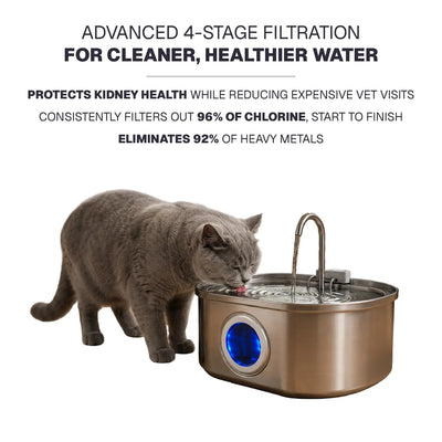 Petivano Cat Water Fountain